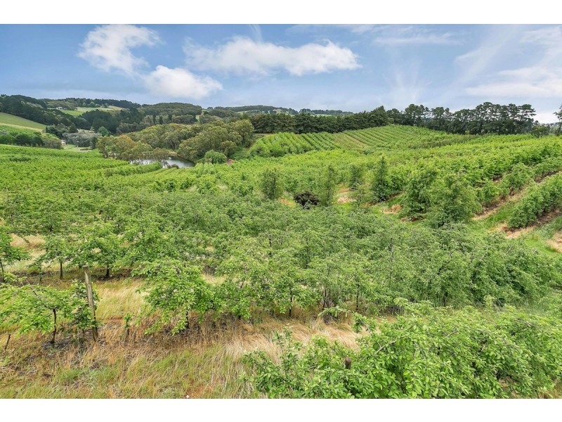 130 Coldstore Road, Lenswood SA 5240