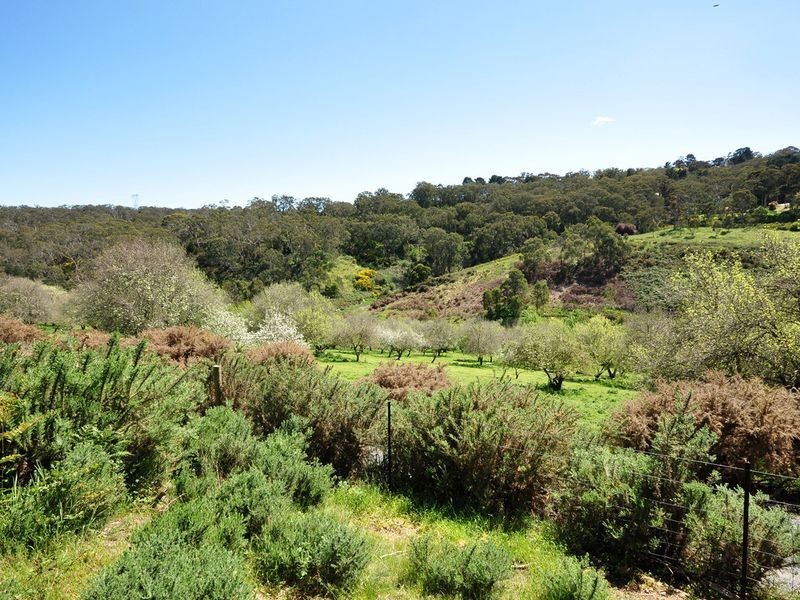 98 Upper Sturt Road, Upper Sturt SA 5156