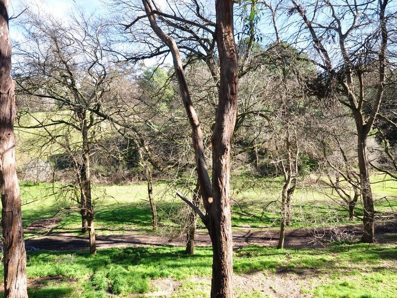 44 Whitewood Drive, Upper Sturt SA 5156