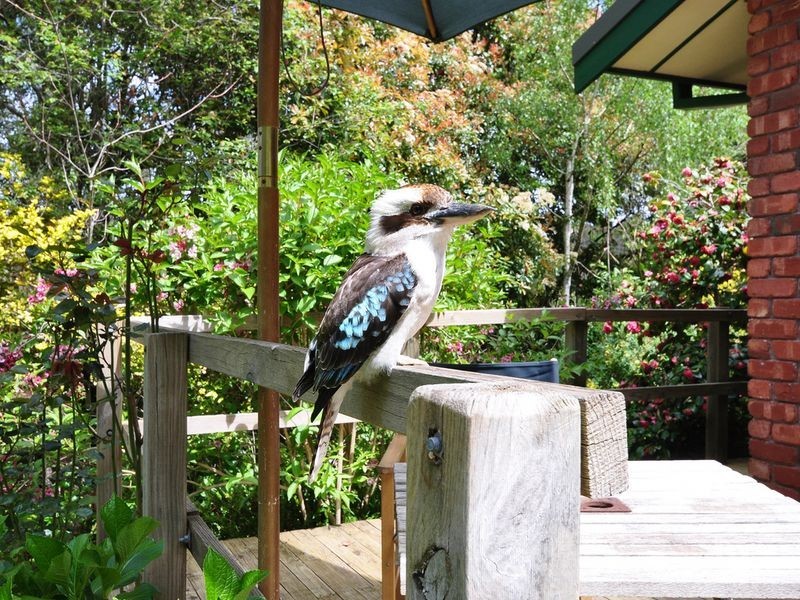 35 Ethel Street, Stirling SA 5152