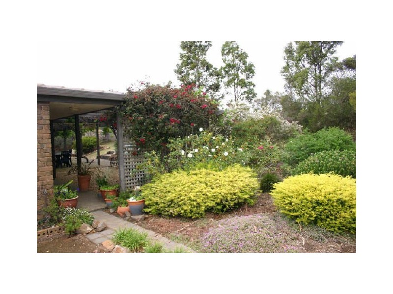 31 Jackson Avenue, Strathalbyn SA 5255