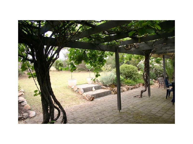 31 Jackson Avenue, Strathalbyn SA 5255