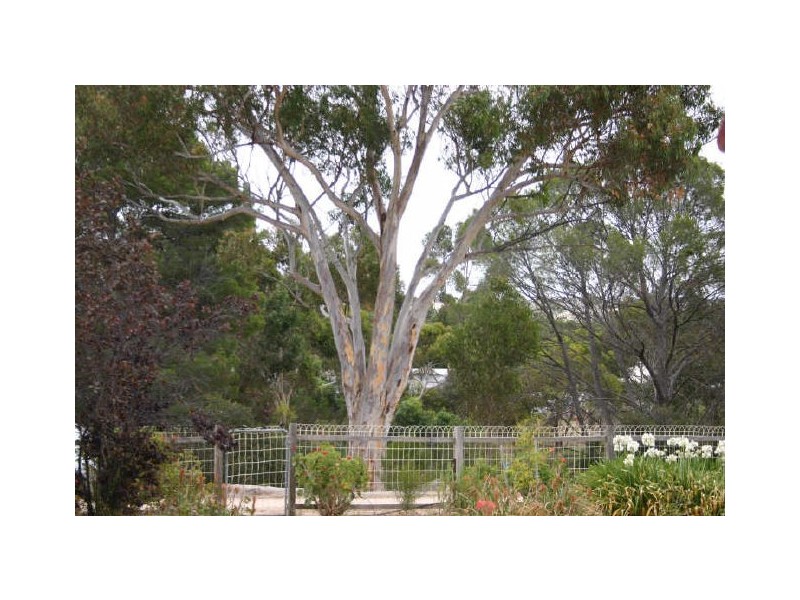 2 Stones Lane, Strathalbyn SA 5255