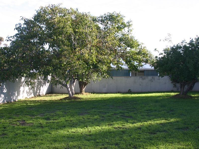 43 Murray Street, Strathalbyn SA 5255