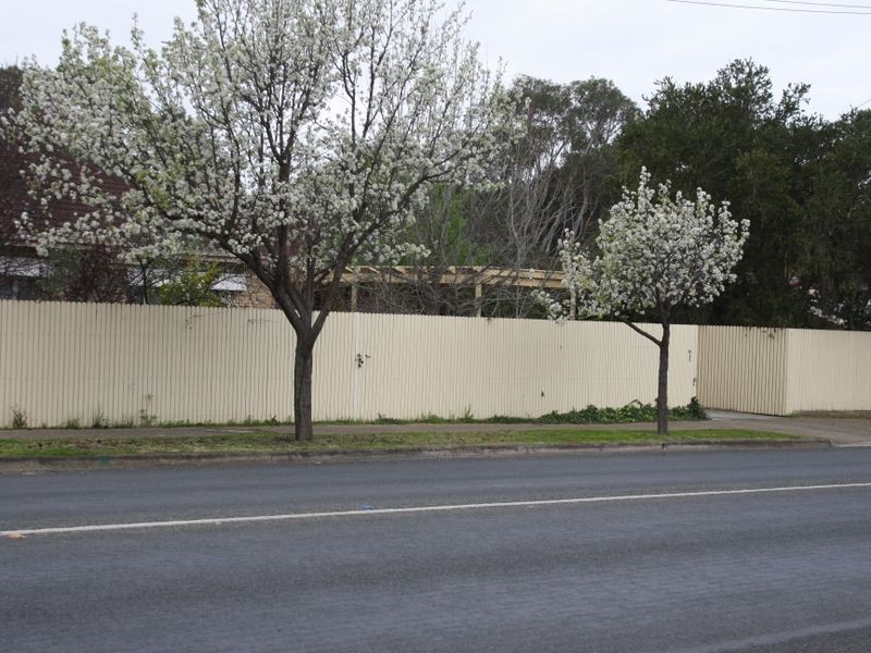 38 West Terrace, Strathalbyn SA 5255