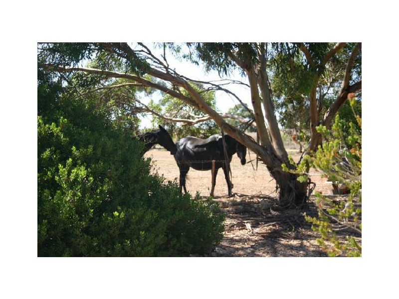 Lot 5 Pepper Tree Lane, Hartley SA 5255