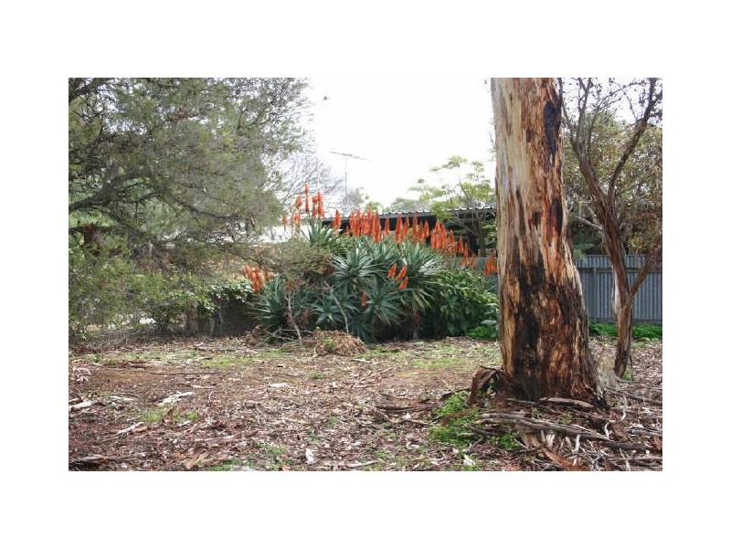 17 North Parade, Strathalbyn SA 5255