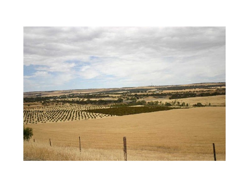 “Pine View” Lot 5 North Bremer Road, Callington SA 5254