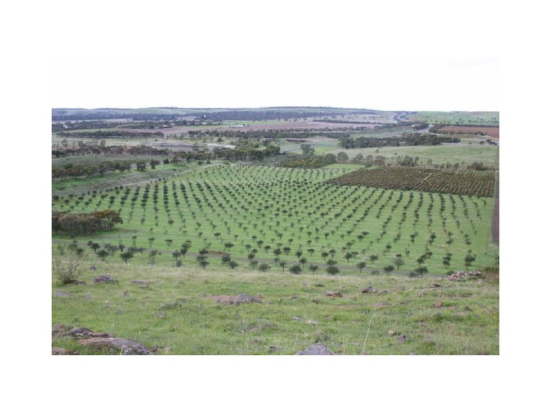 Lot 5 North Bremer Road, Callington SA 5254