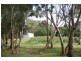 “Willsy’s Farm” Nangkita Road, Tooperang, Strathalbyn SA 5255