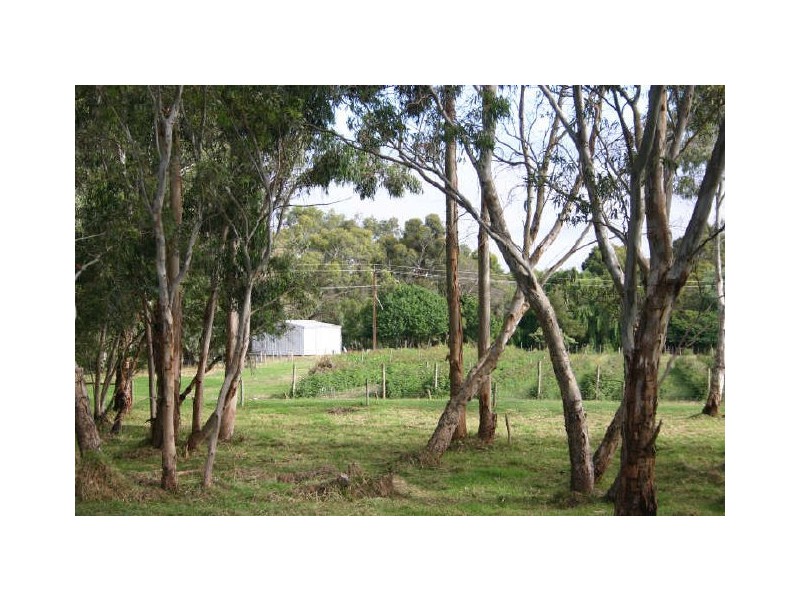 “Willsy’s Farm” Nangkita Road, Tooperang, Strathalbyn SA 5255