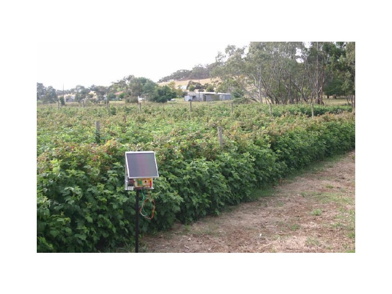 “Willsy’s Farm” Nangkita Road, Tooperang, Strathalbyn SA 5255