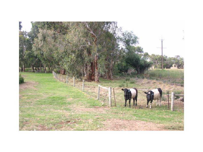 “Willsy’s Farm” Nangkita Road, Tooperang, Strathalbyn SA 5255