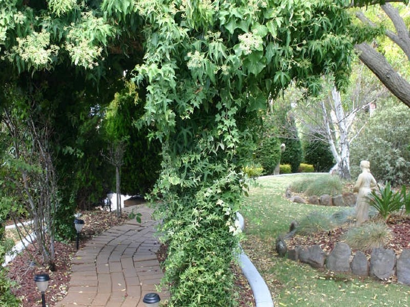 64 Marchant Road, Strathalbyn SA 5255