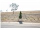 Lot 12 St. Andrews Drive, Strathalbyn SA 5255