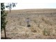Lot 12 St. Andrews Drive, Strathalbyn SA 5255