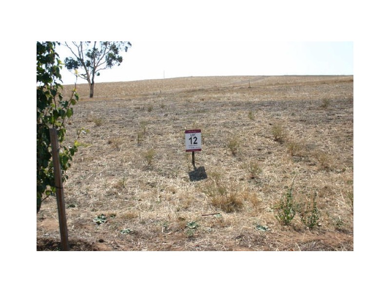 Lot 12 St. Andrews Drive, Strathalbyn SA 5255
