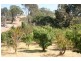Lot 21 Meadows-Goolwa Road, Ashbourne SA 5157