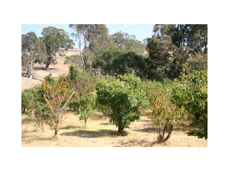Lot 21 Meadows-Goolwa Road, Ashbourne SA 5157