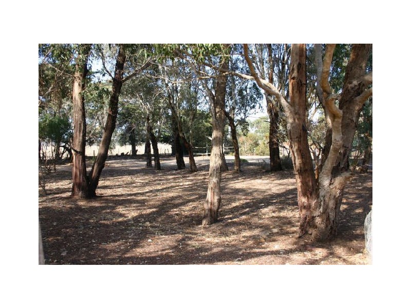 LT 111 MAIN ROAD, Finniss SA 5255