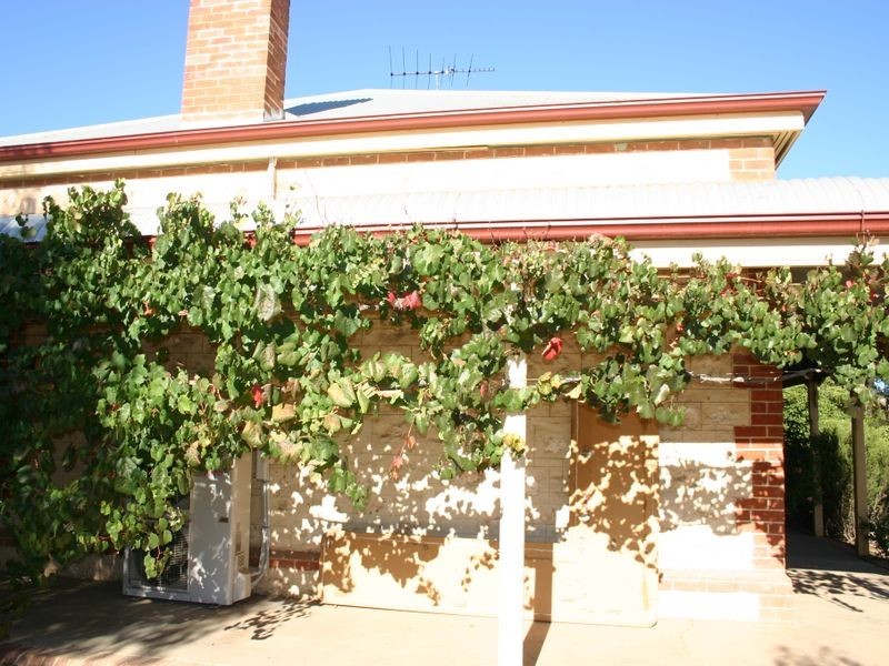 25 Callington Road, Strathalbyn SA 5255