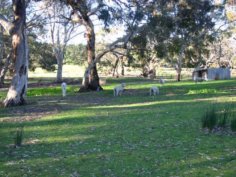 Lot 94 Meadows – Goolwa Road, Ashbourne SA 5157
