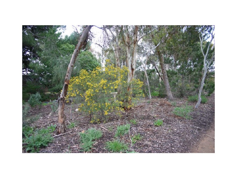 2/25 Callington Road, Strathalbyn SA 5255