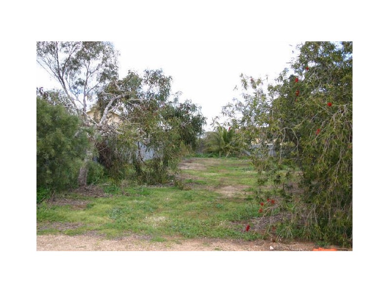 Lot 101 Jackson Avenue, Strathalbyn SA 5255