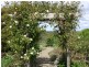 1 Davidson Court, Strathalbyn SA 5255
