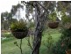 1 Davidson Court, Strathalbyn SA 5255