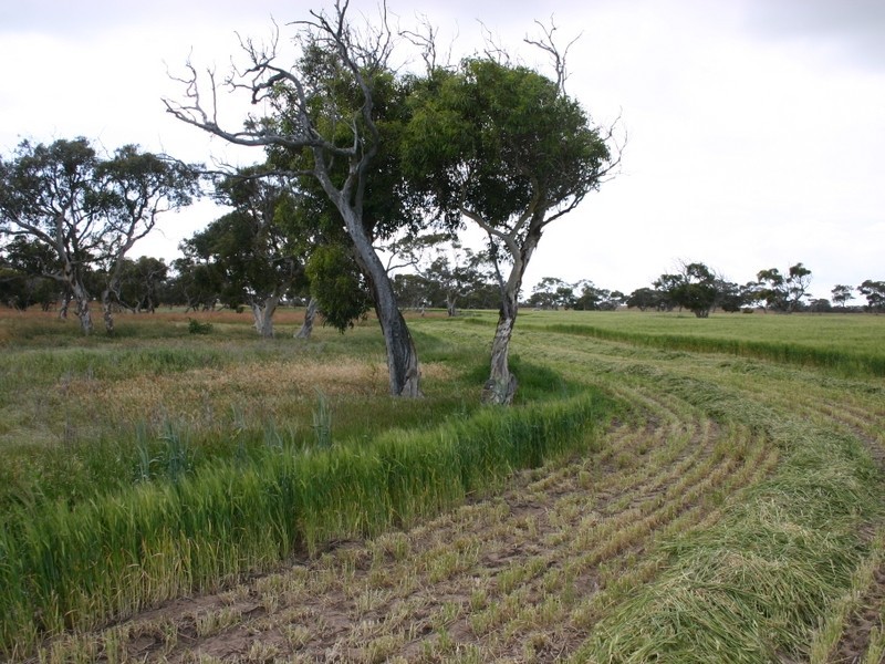 Lot 40 Finniss – Clayton Road, Clayton SA 5256