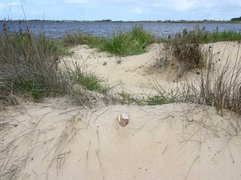 Lot 40 Finniss – Clayton Road, Clayton SA 5256