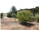 Lot 101 Roper Road, Willyaroo Via, Strathalbyn SA 5255