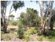 Lot 101 Roper Road, Willyaroo Via, Strathalbyn SA 5255