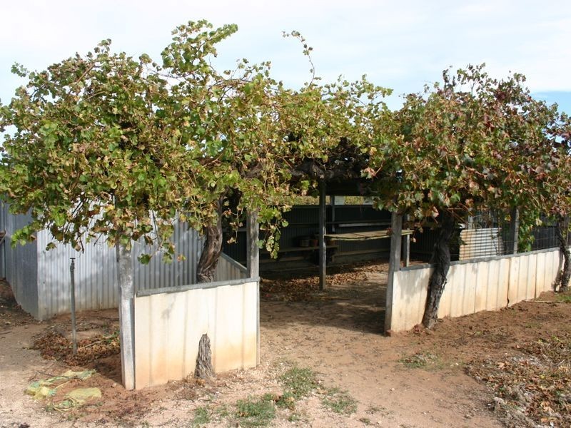 Lot 6 Bridge Road, Langhorne Creek SA 5255