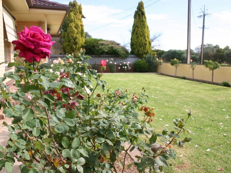 Lot 6 Bridge Road, Langhorne Creek SA 5255