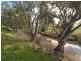 Lot 1 North Bremer Rd HARTLEY VIA STRATHALBYN, Strathalbyn SA 5255