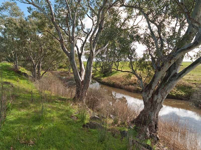 Lot 1 North Bremer Rd HARTLEY VIA STRATHALBYN, Strathalbyn SA 5255