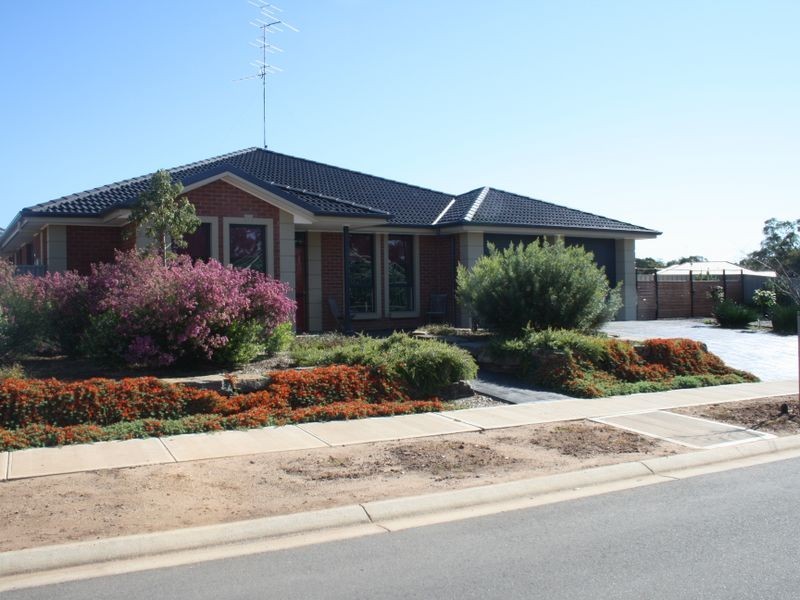 3 Catt Drive, Strathalbyn SA 5255