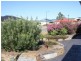 3 Catt Drive, Strathalbyn SA 5255