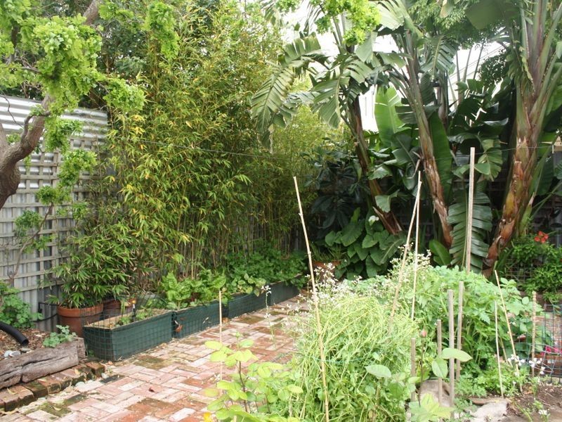 10 Catherine St, Strathalbyn SA 5255