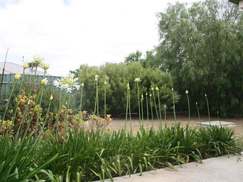 28 Sandergrove Road, Strathalbyn SA 5255