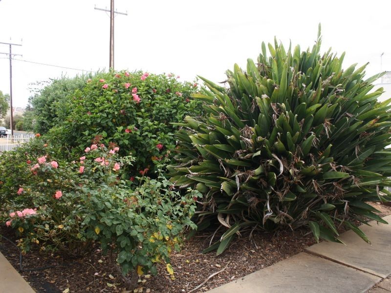 30 Murray Street, Strathalbyn SA 5255