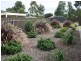 21 Cobb & Co Court, Strathalbyn SA 5255