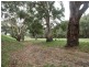 Braeside & Government Rd, Finniss SA 5255