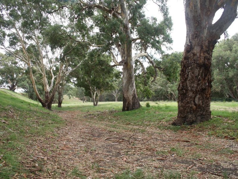 Braeside & Government Rd, Finniss SA 5255