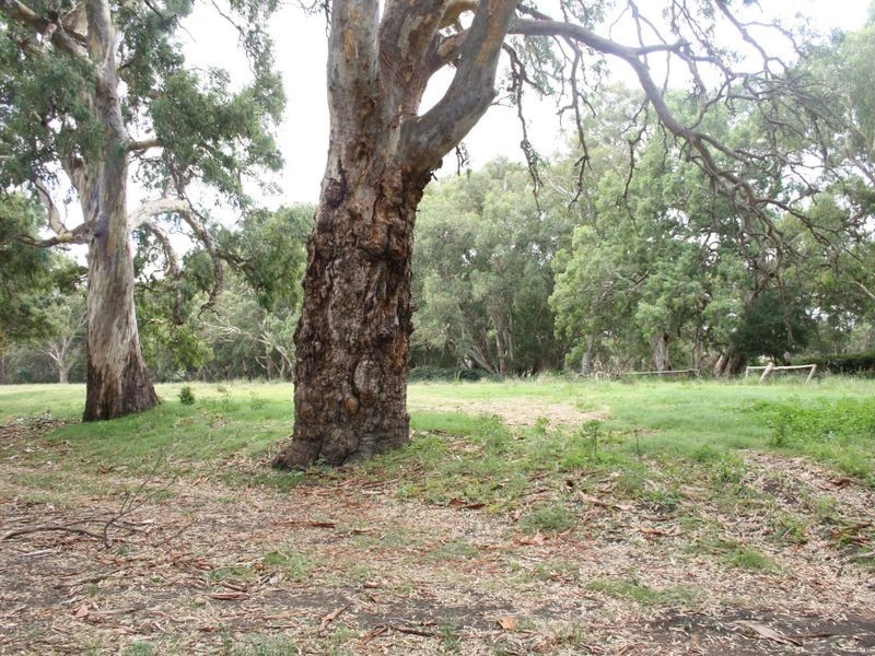 Braeside & Government Rd, Finniss SA 5255