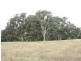 Braeside & Government Rd, Finniss SA 5255