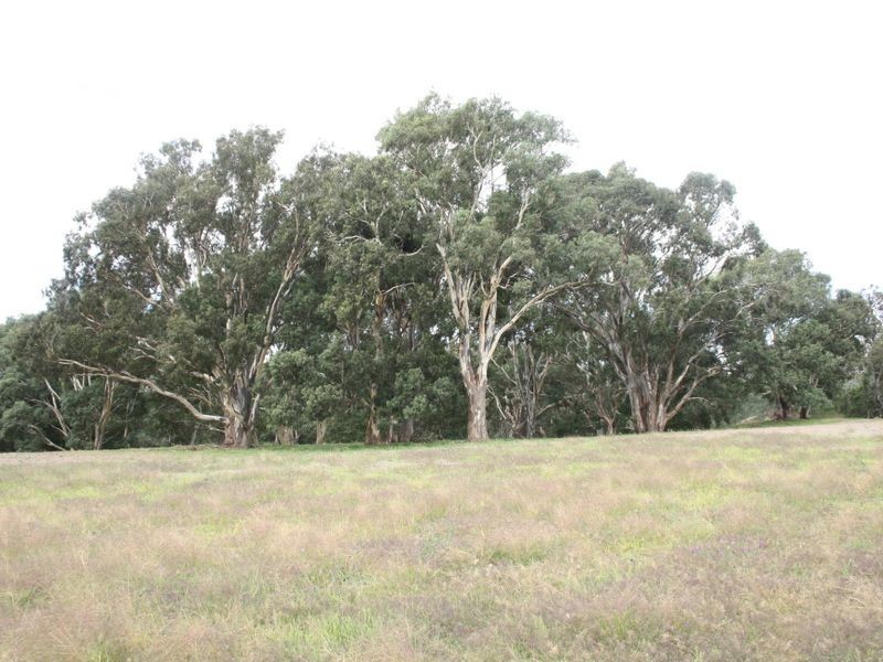 Braeside & Government Rd, Finniss SA 5255