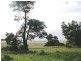 Sec 1189 Eckert Road, Finniss SA 5255